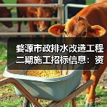 婺源市政排水改造工程二期施工招标信息:资质要求与投标指南(图4) 婺源市政排水改造工程二期施工招标信息:资质要求与投标指南(图4)