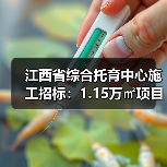 江西省综合托育中心施工招标：1.15万㎡项目启动，建筑资质要求详览（图2）