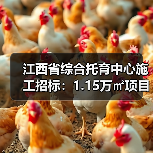 江西省综合托育中心施工招标：1.15万㎡项目启动，建筑资质要求详览（图3）