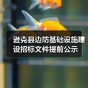 逊克县边防基础设施建设招标文件提前公示（图4）