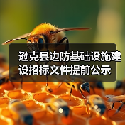 逊克县边防基础设施建设招标文件提前公示（图1）