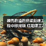 顾秀路道路桥梁新建工程中标揭晓 红阳建工2707万揽项目(图2) 顾秀路道路桥梁新建工程中标揭晓 红阳建工2707万揽项目(图2)