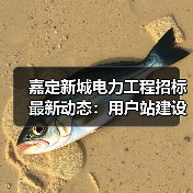 嘉定新城电力工程招标最新动态:用户站建设启动!(图2) 嘉定新城电力工程招标最新动态:用户站建设启动!(图2)