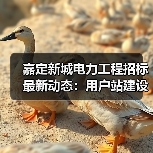 嘉定新城电力工程招标最新动态:用户站建设启动!(图3) 嘉定新城电力工程招标最新动态:用户站建设启动!(图3)