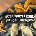 嘉定新城电力工程招标最新动态:用户站建设启动!(图1) 嘉定新城电力工程招标最新动态:用户站建设启动!(图1)