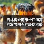 吉林省蛟河市松江镇高标准农田五标段招标最新信息(图2) 吉林省蛟河市松江镇高标准农田五标段招标最新信息(图2)