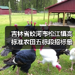 吉林省蛟河市松江镇高标准农田五标段招标最新信息(图4) 吉林省蛟河市松江镇高标准农田五标段招标最新信息(图4)
