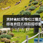 吉林省蛟河市松江镇高标准农田五标段招标最新信息(图3) 吉林省蛟河市松江镇高标准农田五标段招标最新信息(图3)