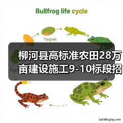 柳河县高标准农田28万亩建设施工9-10标段招标,资质要求详解(图4) 柳河县高标准农田28万亩建设施工9-10标段招标,资质要求详解(图4)