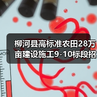 柳河县高标准农田28万亩建设施工9-10标段招标,资质要求详解(图3) 柳河县高标准农田28万亩建设施工9-10标段招标,资质要求详解(图3)
