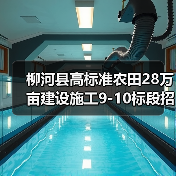 柳河县高标准农田28万亩建设施工9-10标段招标,资质要求详解(图1) 柳河县高标准农田28万亩建设施工9-10标段招标,资质要求详解(图1)