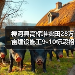 柳河县高标准农田28万亩建设施工9-10标段招标,资质要求详解(图2) 柳河县高标准农田28万亩建设施工9-10标段招标,资质要求详解(图2)