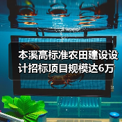 本溪高标准农田建设设计招标项目规模达6万亩(图3) 本溪高标准农田建设设计招标项目规模达6万亩(图3)