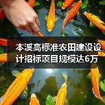 本溪高标准农田建设设计招标项目规模达6万亩(图4) 本溪高标准农田建设设计招标项目规模达6万亩(图4)