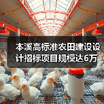 本溪高标准农田建设设计招标项目规模达6万亩(图2) 本溪高标准农田建设设计招标项目规模达6万亩(图2)