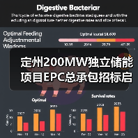 定州200MW独立储能项目EPC总承包招标启动(图2) 定州200MW独立储能项目EPC总承包招标启动(图2)