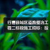 行唐县城区道路整治工程二标段施工招标:投标资格与文件获取指南(图3) 行唐县城区道路整治工程二标段施工招标:投标资格与文件获取指南(图3)