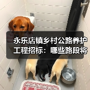 永乐店镇乡村公路养护工程招标:哪些路段将进行养护?(图3) 永乐店镇乡村公路养护工程招标:哪些路段将进行养护?(图3)