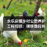永乐店镇乡村公路养护工程招标:哪些路段将进行养护?(图2) 永乐店镇乡村公路养护工程招标:哪些路段将进行养护?(图2)