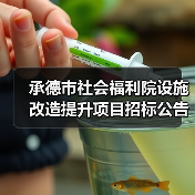 承德市社会福利院设施改造提升项目招标公告(图1) 承德市社会福利院设施改造提升项目招标公告(图1)