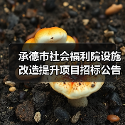 承德市社会福利院设施改造提升项目招标公告(图4) 承德市社会福利院设施改造提升项目招标公告(图4)