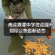 南皮潞灌中学改造提升招标公告最新动态(图1) 南皮潞灌中学改造提升招标公告最新动态(图1)