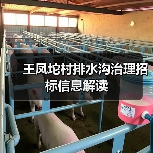王凤坨村排水沟治理招标信息解读(图3) 王凤坨村排水沟治理招标信息解读(图3)
