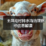 王凤坨村排水沟治理招标信息解读(图2) 王凤坨村排水沟治理招标信息解读(图2)
