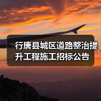 行唐县城区道路整治提升工程施工招标公告(图4) 行唐县城区道路整治提升工程施工招标公告(图4)
