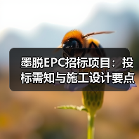 墨脱EPC招标项目:投标需知与施工设计要点(图4) 墨脱EPC招标项目:投标需知与施工设计要点(图4)