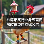 沙湾市支行业务经营用房改造项目招标公告(图4) 沙湾市支行业务经营用房改造项目招标公告(图4)