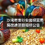 沙湾市支行业务经营用房改造项目招标公告(图1) 沙湾市支行业务经营用房改造项目招标公告(图1)