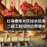 红寺堡东片区排水防涝二期工程招标信息曝光(图3) 红寺堡东片区排水防涝二期工程招标信息曝光(图3)