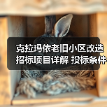 克拉玛依老旧小区改造招标项目详解 投标条件全解析 克拉玛依老旧小区改造招标项目详解 投标条件全解析