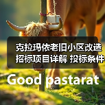 克拉玛依老旧小区改造招标项目详解 投标条件全解析(图4) 克拉玛依老旧小区改造招标项目详解 投标条件全解析(图4)