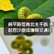 昌平新增南北主干路 南起百沙路或缓解交通压力（图3）