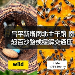 昌平新增南北主干路 南起百沙路或缓解交通压力（图2）