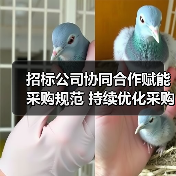 招标公司协同合作赋能采购规范 持续优化采购生态（图3）