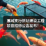 藁城支行新址建设工程项目招标公告发布！（图4）