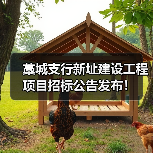 藁城支行新址建设工程项目招标公告发布！（图2）
