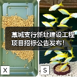 藁城支行新址建设工程项目招标公告发布！（图1）