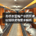 高标准蛋鸡产业园区建设招标资格要求解析（图4）