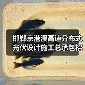 邯郸京港澳高速分布式光伏设计施工总承包招标公告（图1）