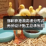 邯郸京港澳高速分布式光伏设计施工总承包招标公告（图3）