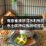 南京秦淮新河水利枢纽水土保持设施验收报告编制二次招标公告（图4）