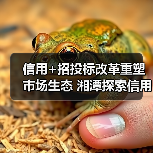 信用+招投标改革重塑市场生态 湘潭探索信用评价新路径（图2）