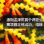 洛阳孟津区首个评定分离项目定标成功，招标改革迈出关键一步（图3）