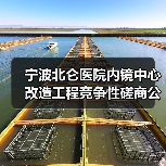 宁波北仑医院内镜中心改造工程竞争性磋商公告，预算超136万元（图2）