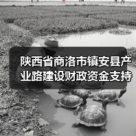 陕西省商洛市镇安县产业路建设财政资金支持进展详解(图3) 陕西省商洛市镇安县产业路建设财政资金支持进展详解(图3)