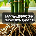 陕西省商洛市镇安县产业路建设财政资金支持进展详解(图1) 陕西省商洛市镇安县产业路建设财政资金支持进展详解(图1)